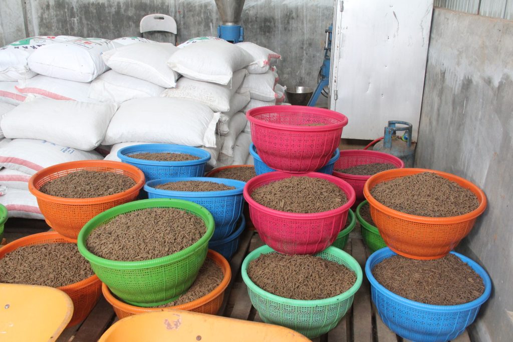 produksi pakan ikan dari bungkil sawit