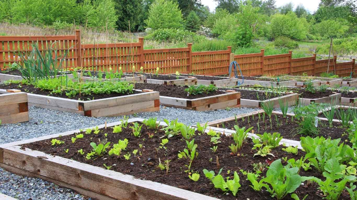 Community Garden urban farming
