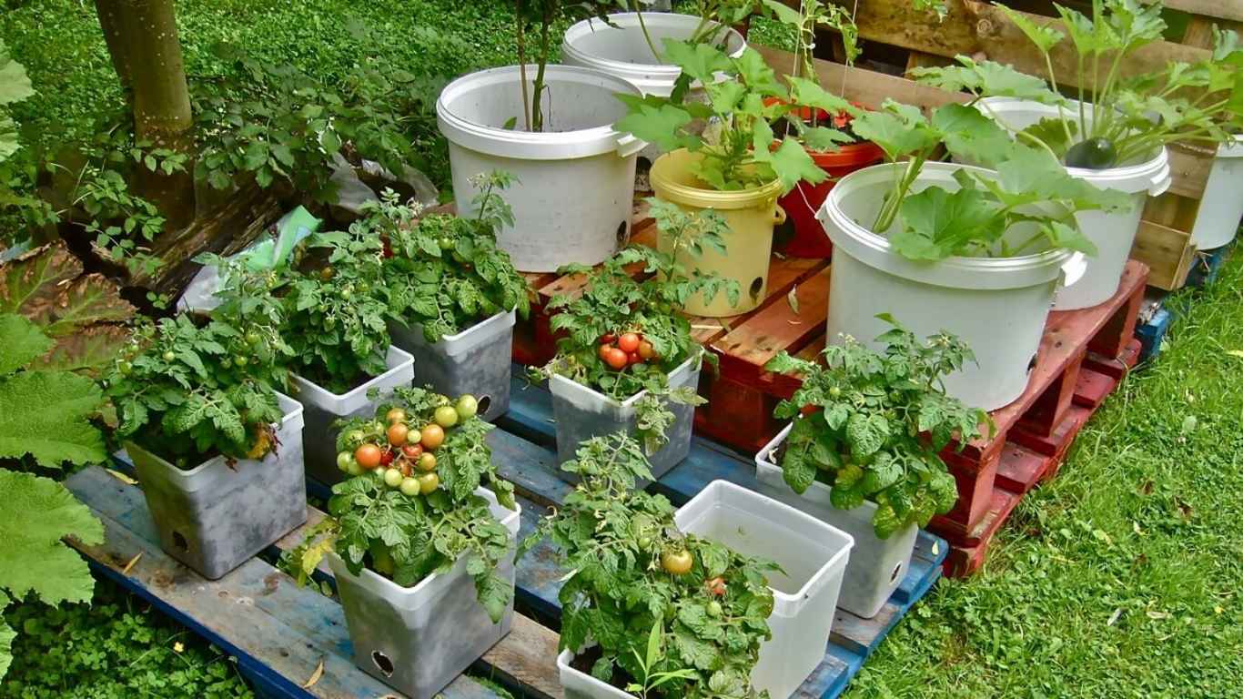 container urban farming