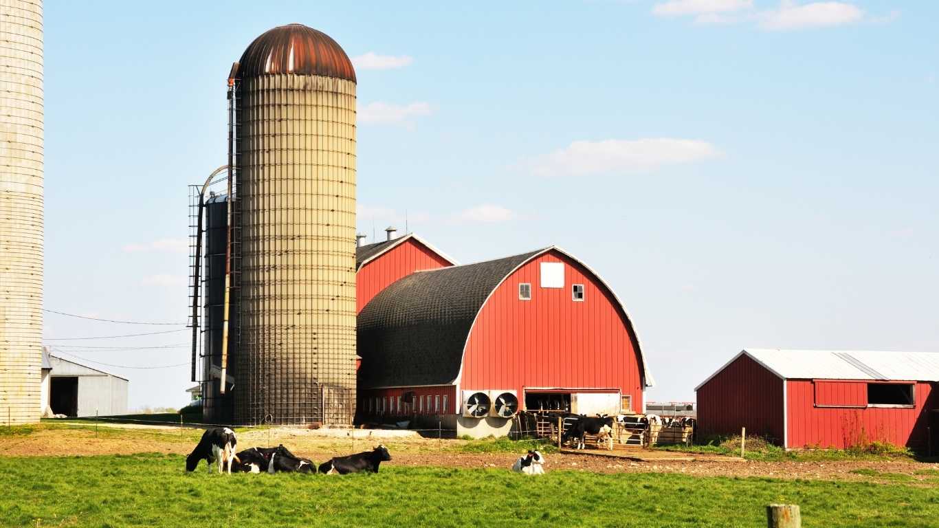 livestock urban farming