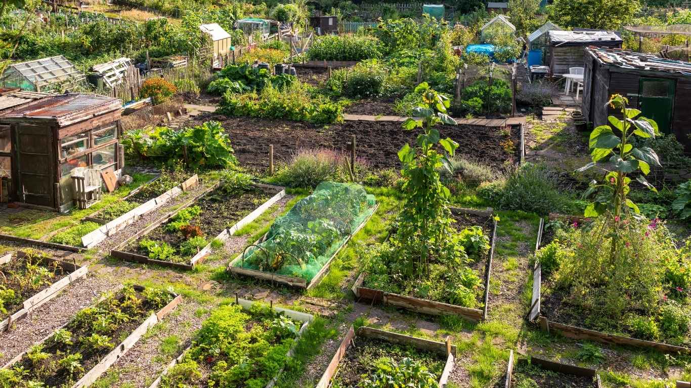 Food Forests