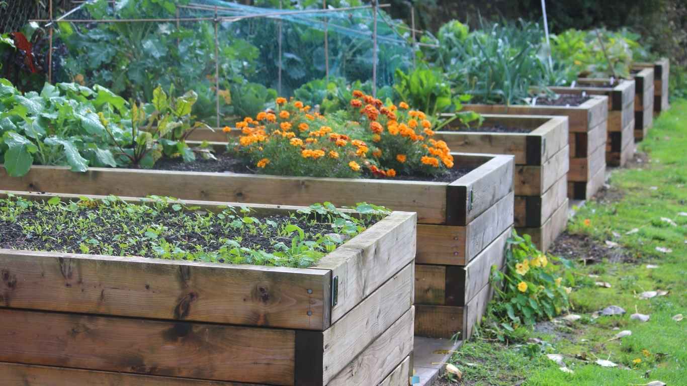 Therapeutic Gardens