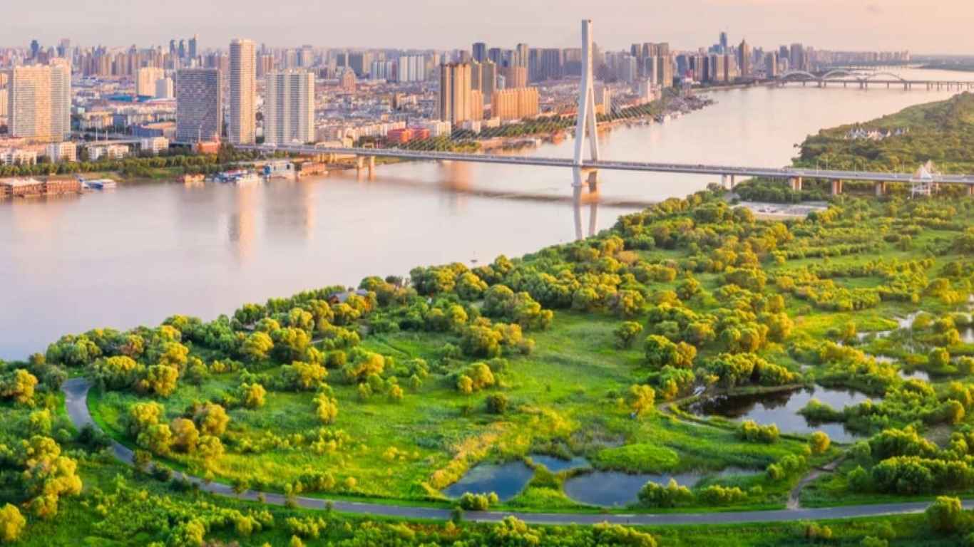 urban agroforestry