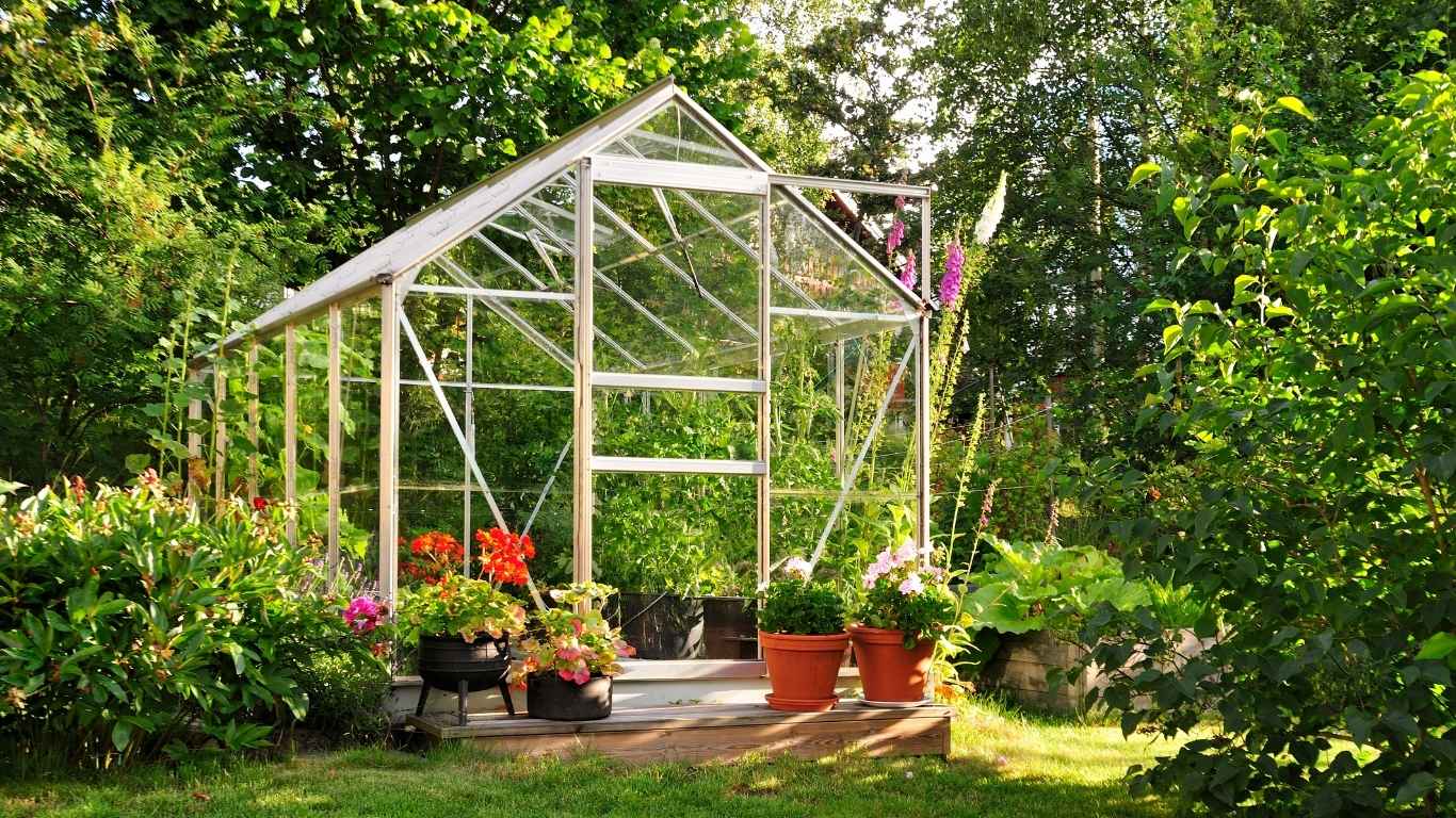 urban greenhouse