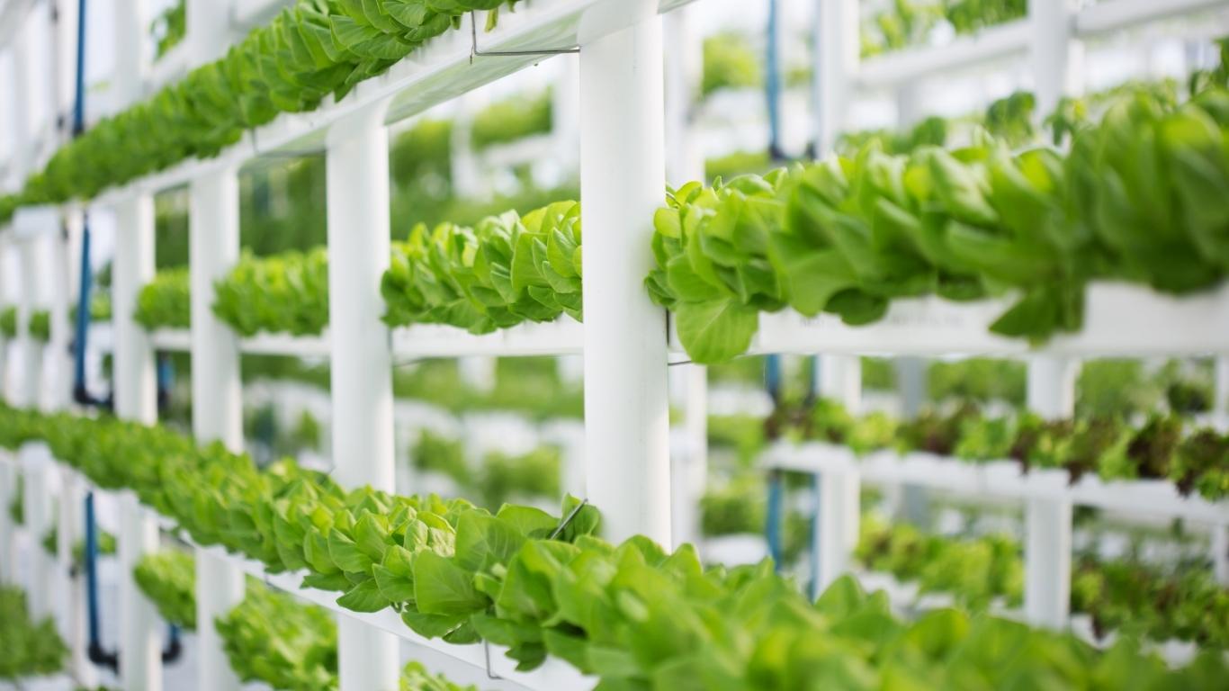 Jenis urban farming vertikal