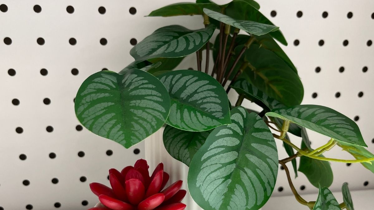 Hiasan Bunga Dalam Rumah hiasan bunga dalam rumah