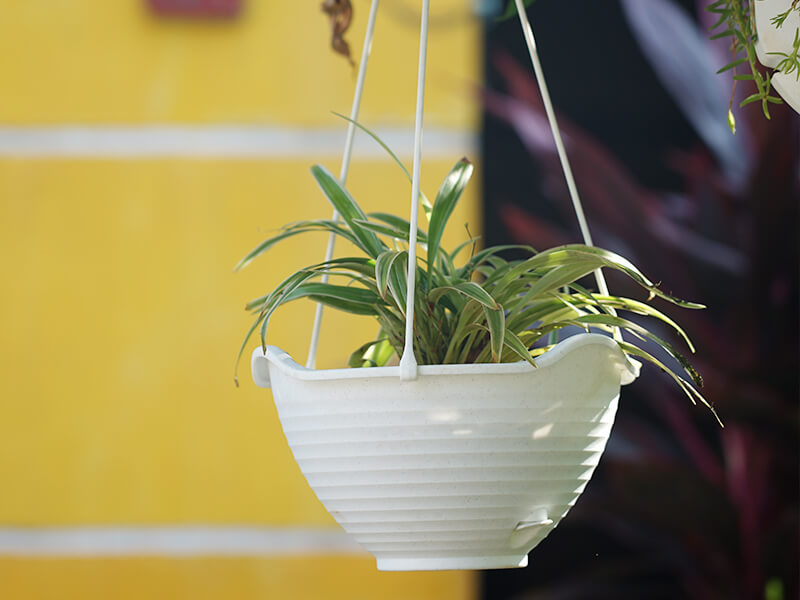 pot gantung