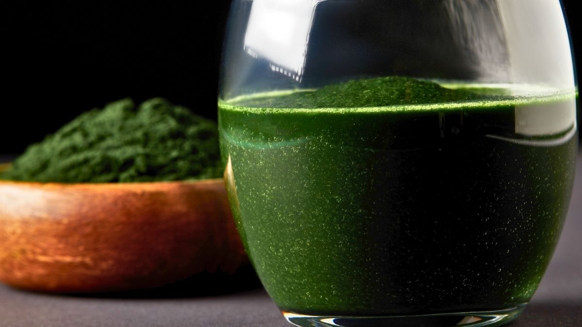 Spirulina Alami
