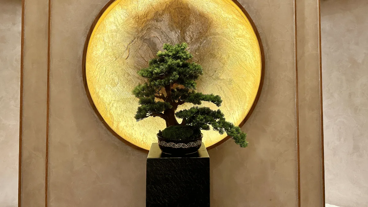 12 converted gambar bonsai termahal
