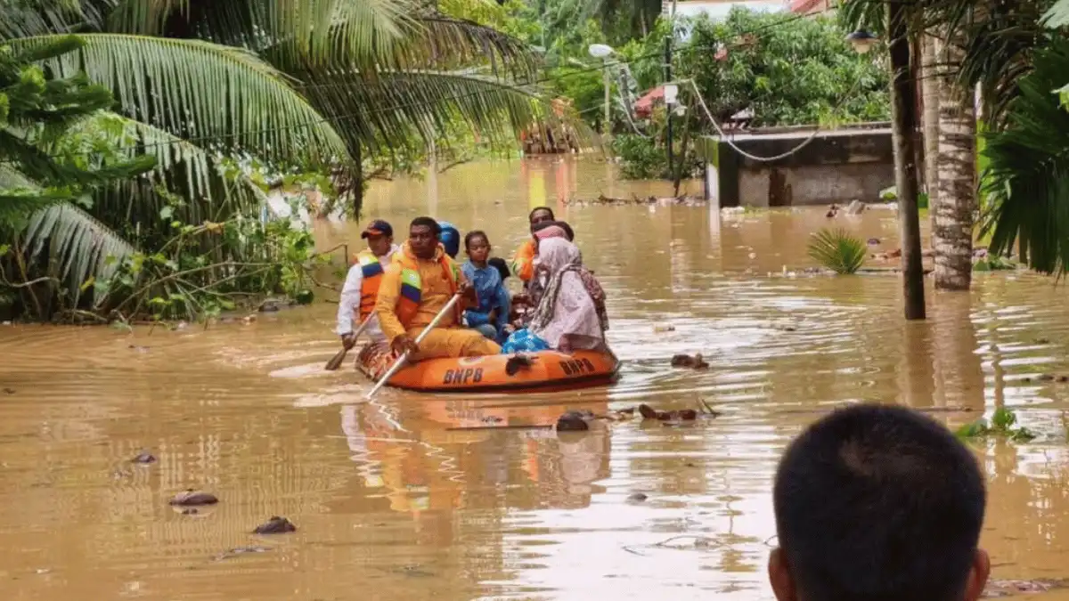 14 converted 14 converted