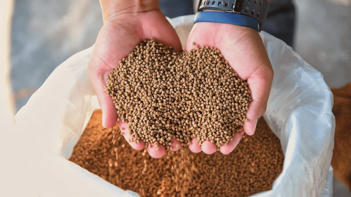 1 converted 2 1 converted 2