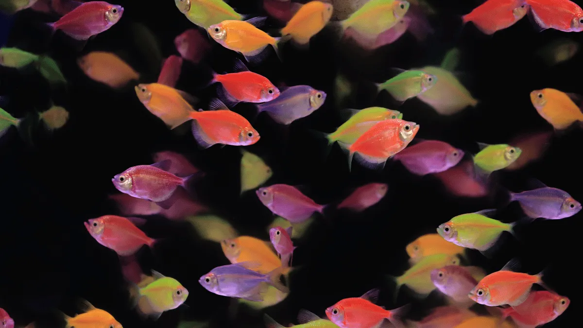 1 converted 3 1 converted 3