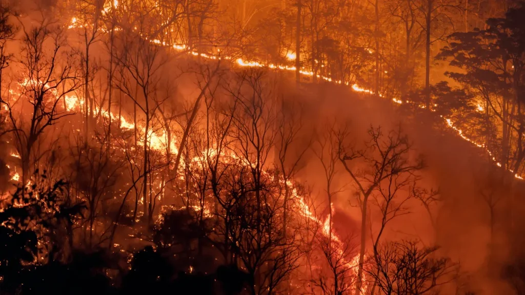 3 converted penyebab perubahan iklim di indonesia