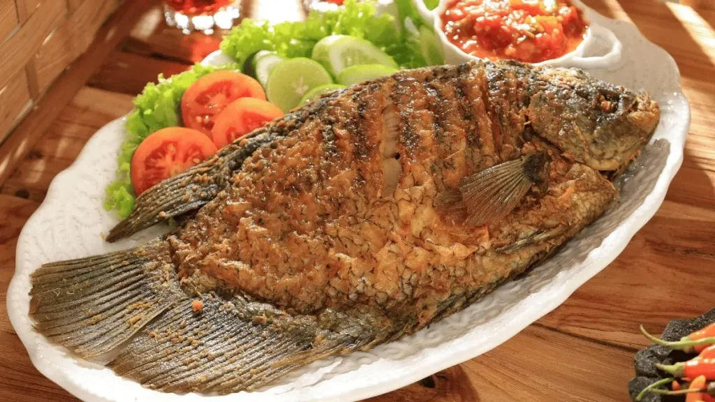 4 potensi bisnis ikan gurame