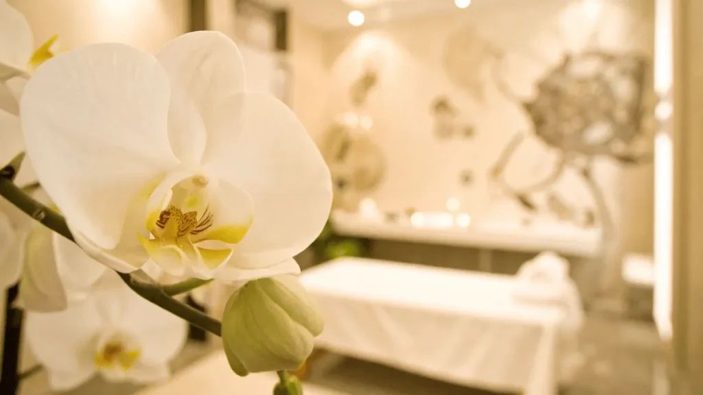 manfaat bunga anggrek