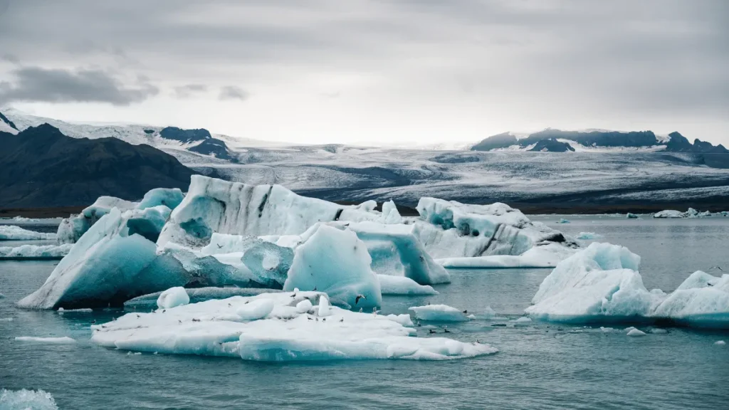 dampak perubahan iklim global