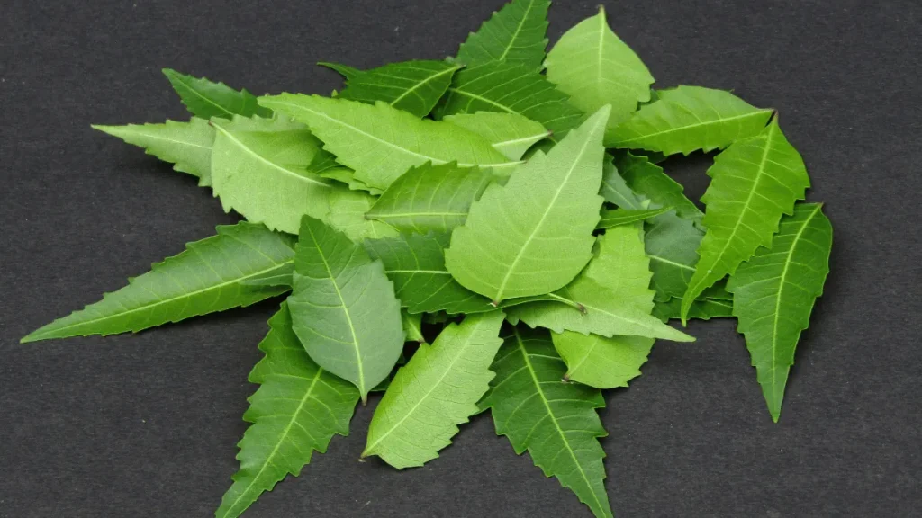 jenis pestisida alami