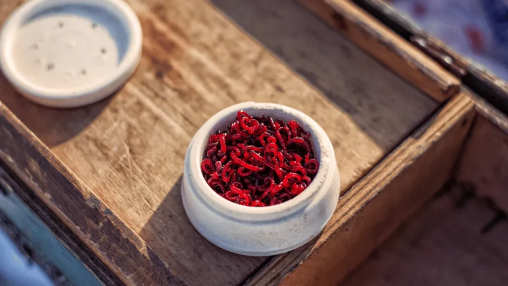 5 converted 3 pakan alami ikan glofish