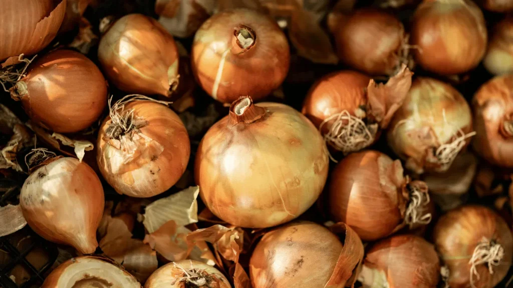 pestisida alami dari kulit bawang