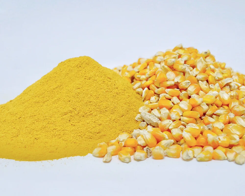 Corn gluten meal merupakan salah satu contoh pakan dari protein nabati Corn gluten meal merupakan salah satu contoh pakan dari protein nabati