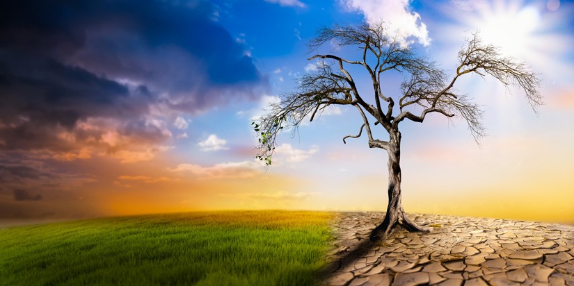 Dampak perubahan iklim bagi kelangsungan alam Dampak perubahan iklim bagi kelangsungan siklus alam