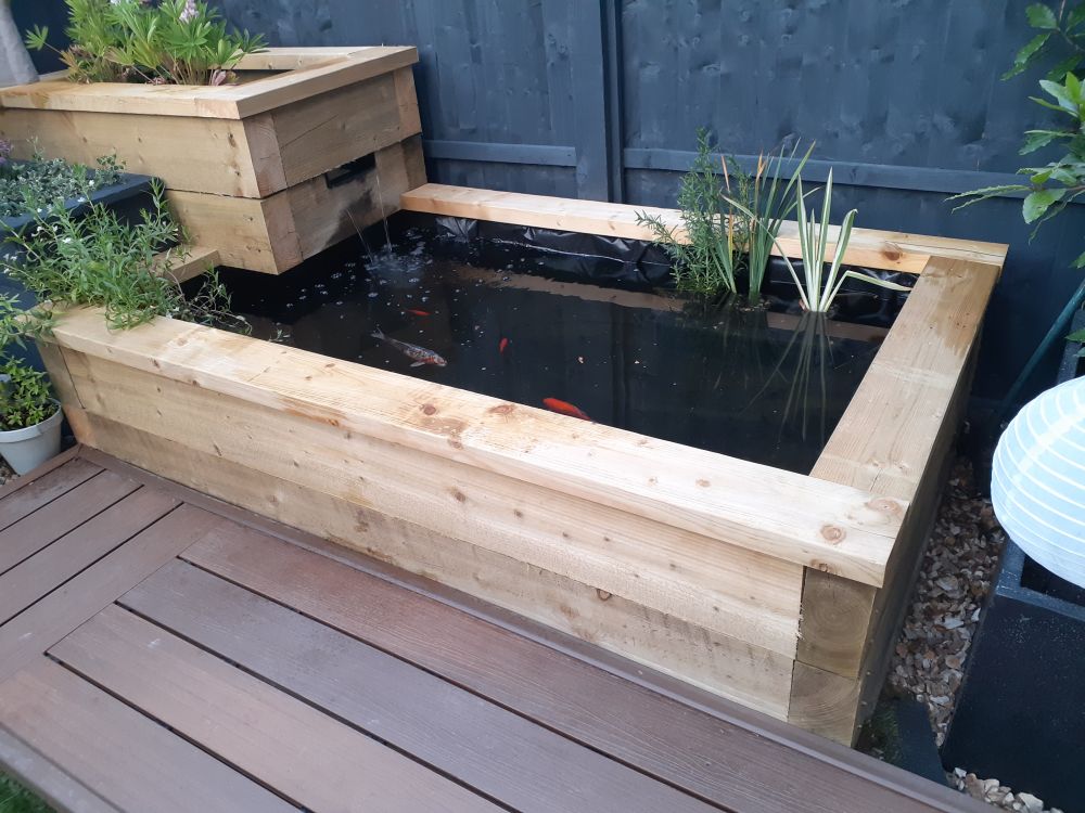 Desain kolam ikan dengan kotak elevasi yang efisien Desain kolam ikan dengan kotak elevasi yang efisien