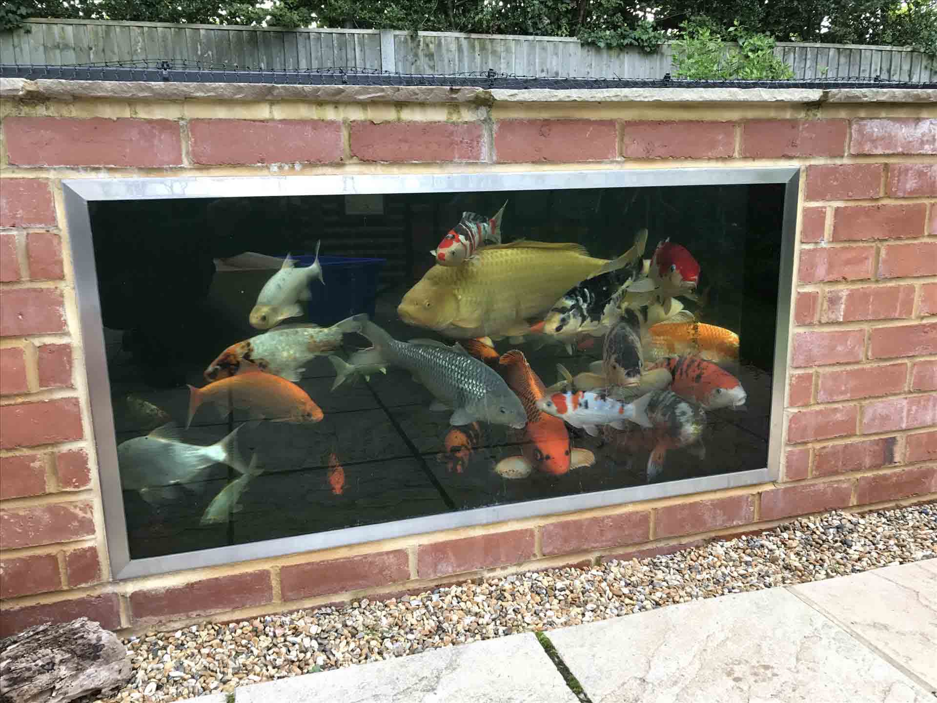 Desain kolam ikan vertikal dinding Desain kolam ikan vertikal dinding