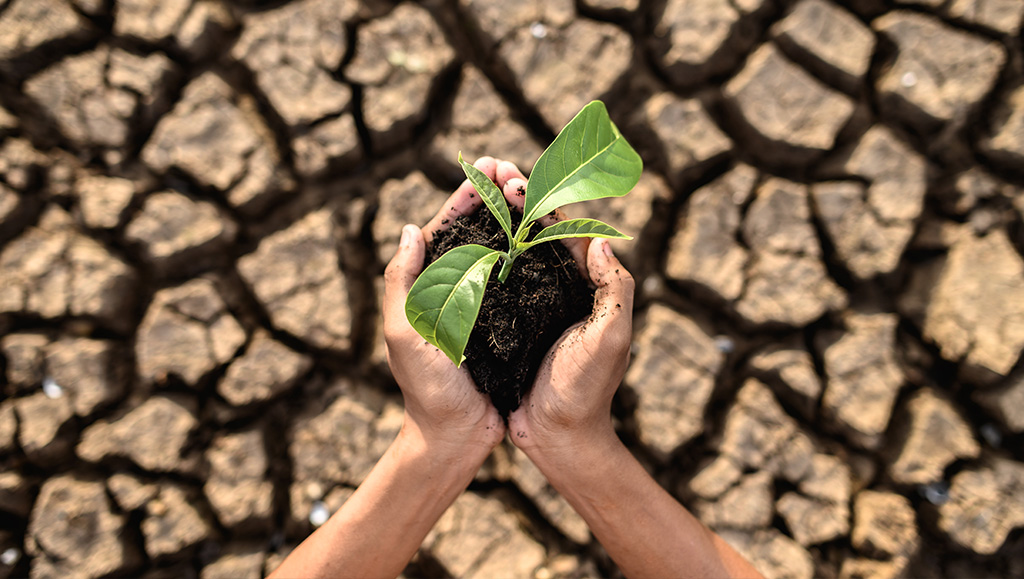 Fenomena kekeringan akibat perubahan iklim Fenomena kekeringan akibat perubahan iklim