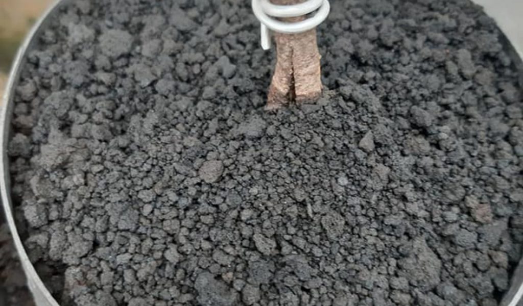 media tanaman bonsai