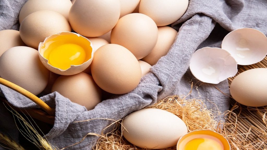 IMG 6564 cangkang telur