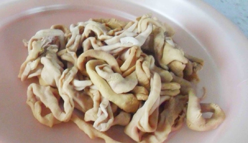 IMG 6862 usus sebagai alternatif pakan ikan nila