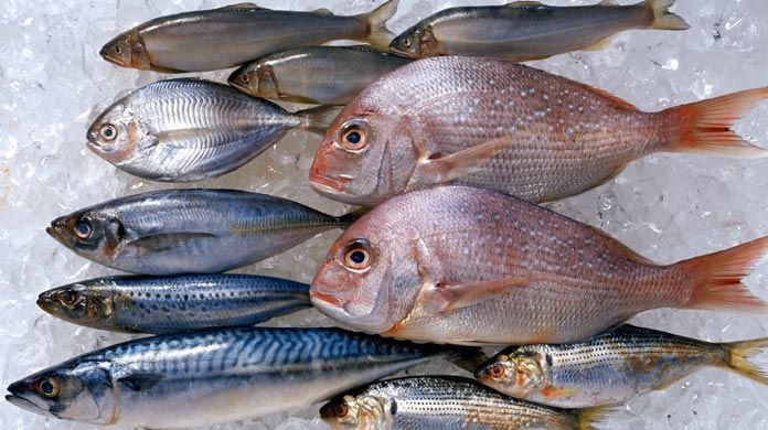 Gejala keracunan pada ikan terjadi karena kontaminasi berbagai macam racun