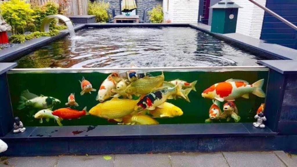 Kolam ikan minimalis asri dan sejuk
