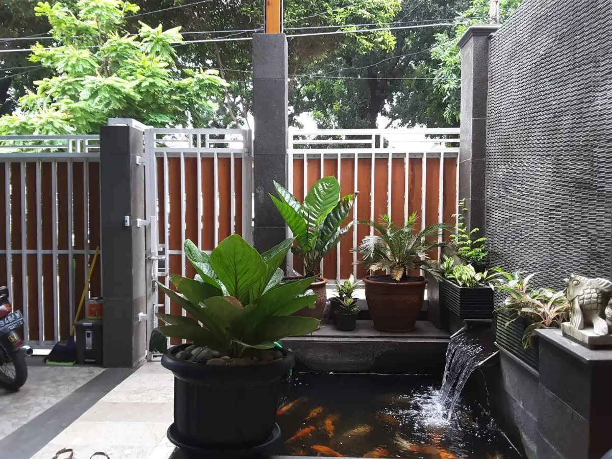 Kolam Ikan Minimalis Depan Rumah Desain Kolam Ikan Minimalis