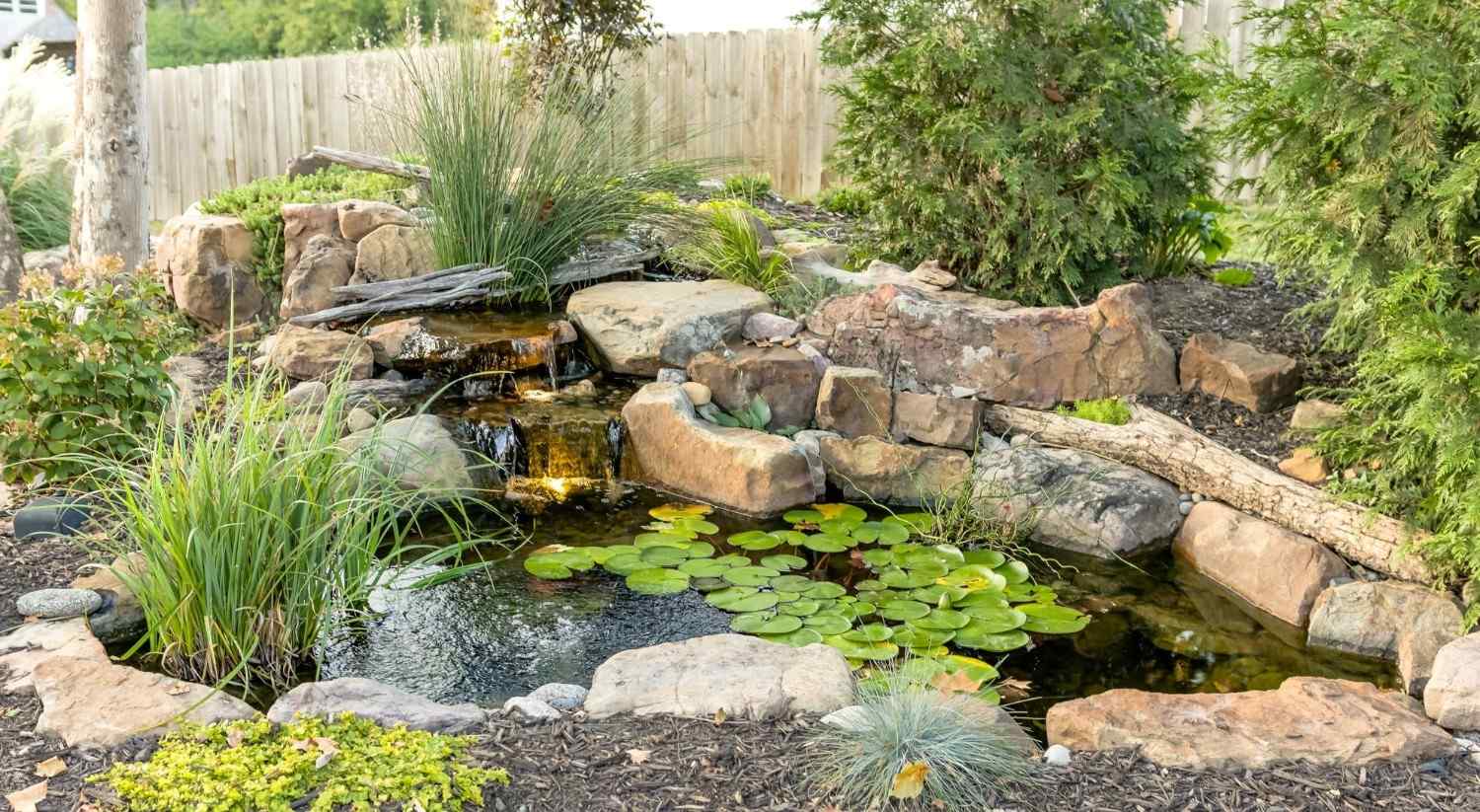 Kolam ikan dengan tepian batu dan tanaman sederhana Kolam ikan dengan tepian batu dan tanaman sederhana