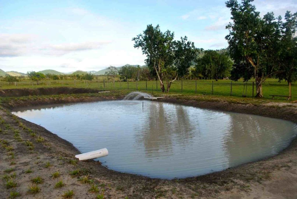 Pemilihan lokasi kolam menentukan keberhasilan budidaya ikan nila Pemilihan lokasi kolam