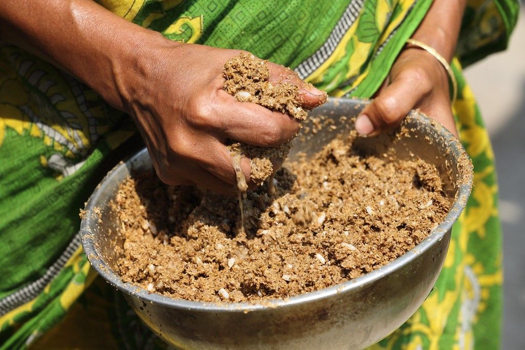 Rekomendasi pakan ikan alami