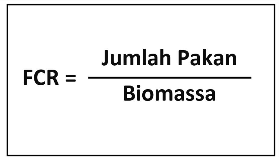 Rumus Feed Conversion Ratio Rumus Feed Conversion Ratio