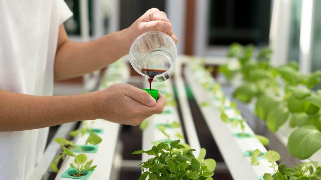 Larutan nutrisi untuk tanaman hudroponik