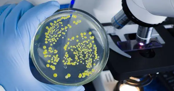 IMG 7608 sterilisasi dengan radioisotop