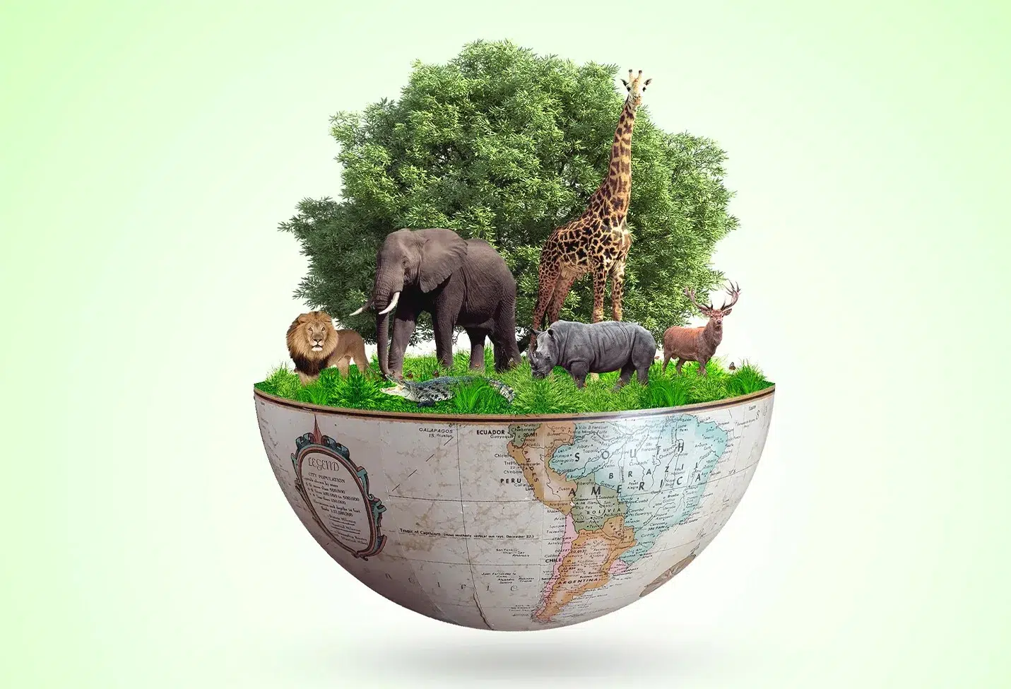 Keanekaragaman hayati adalah fondasi ekosistem yang menopang kehidupan di bumi 1 Biodiversitas fondasi ekosistem