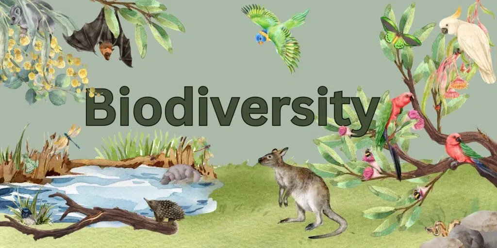 Keanekaragaman hayati karena adanya interaksi kompleks antara organisme dan lingkungan 1 Interaksi biodiversitas kompleks