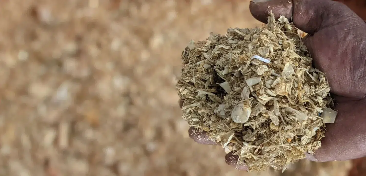 Limbah ikan