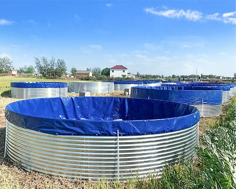Tangki atau kolam budidaya udang air tawar rumahan harus dipersiapkan dengan matang Tangki atau kolam budidaya udang air tawar rumahan harus dipersiapkan dengan matang