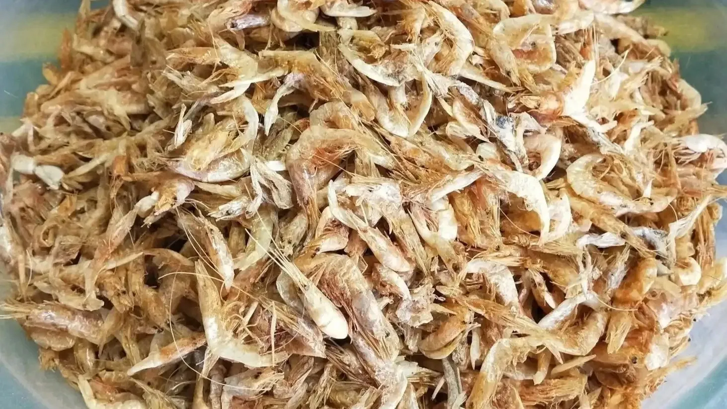 Udang kering adalah makanan ikan channa yang kaya akan protein