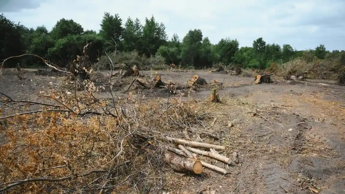 ancaman dan upaya pelestarian keanekaragaman hayati