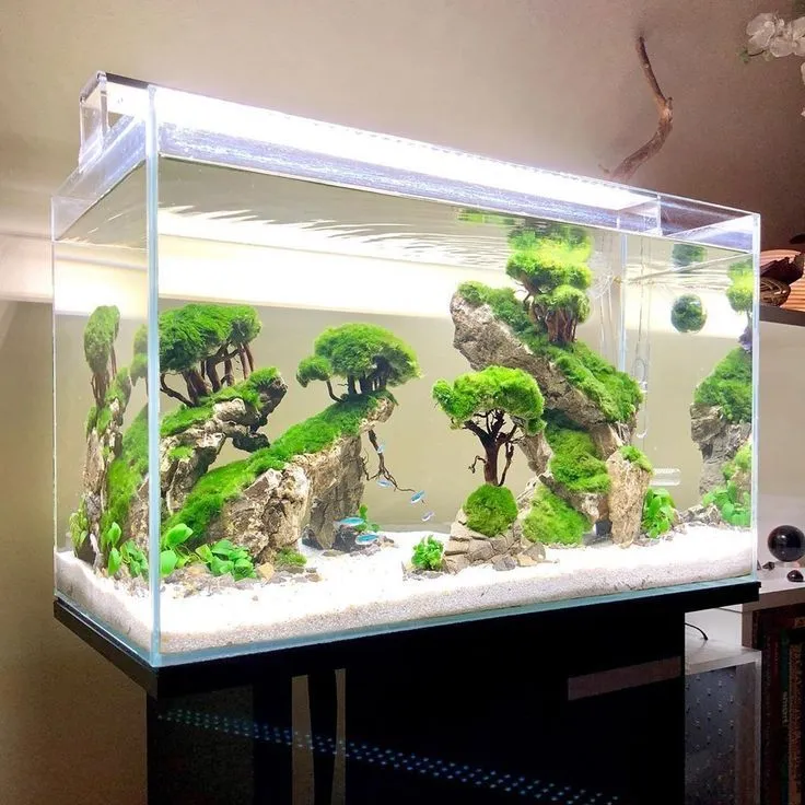 aquascape di rumah