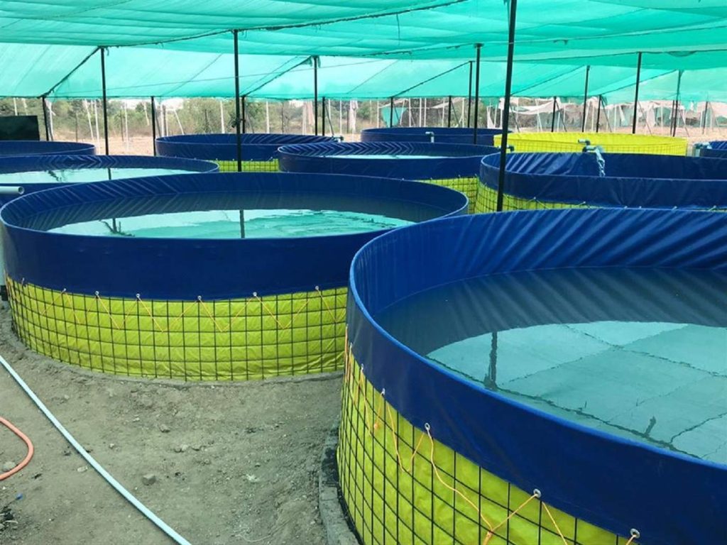 kolam bioflok