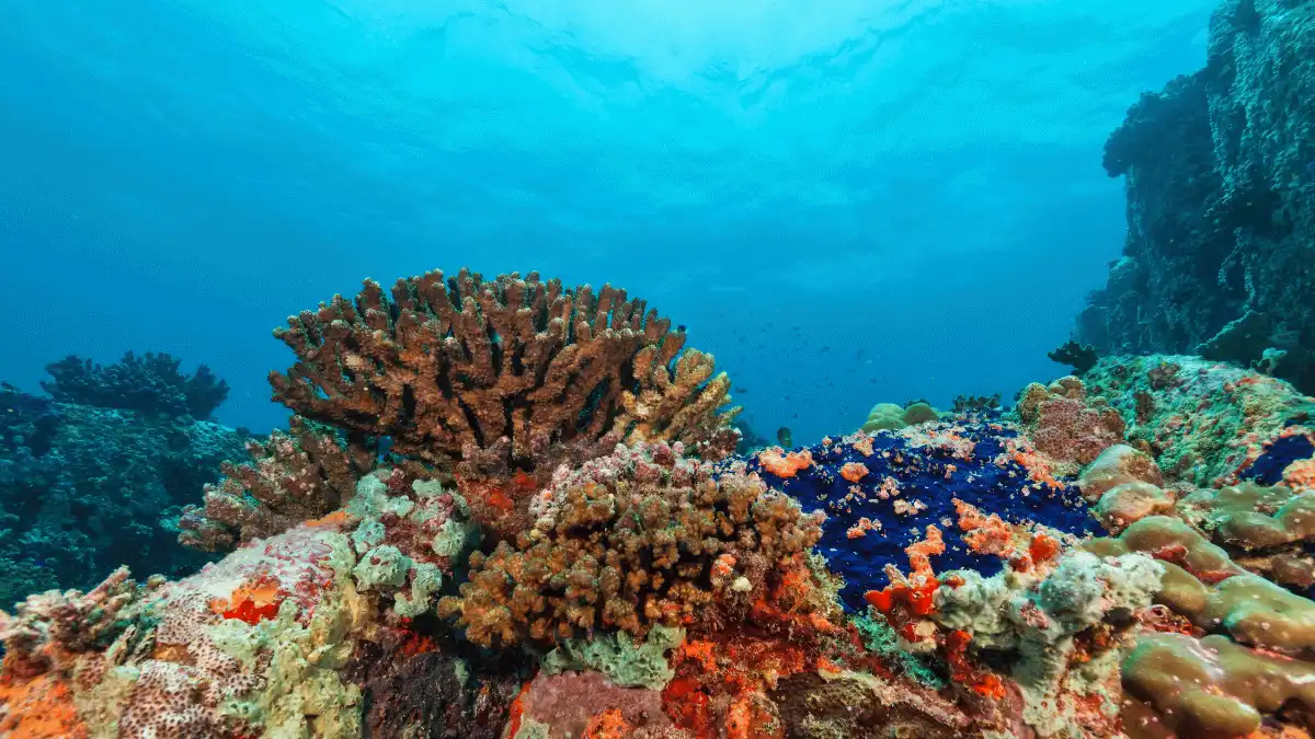 manfaat keanekaragaman hayati