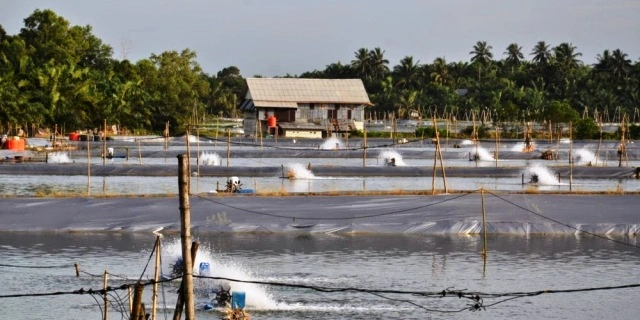 pengelolaan kualitas air pengelolaan kualitas air